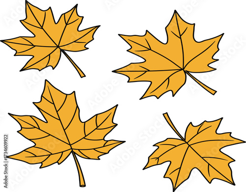 Four golden maple leaves with black outlines on a white background.