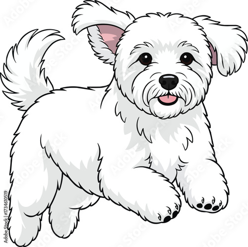 Coton de Tulear dog jumping playfully energetic vector illustration