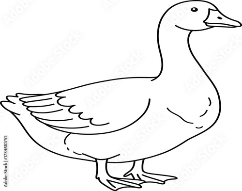 A simple black and white line drawing of a goose standing on its webbed feet.