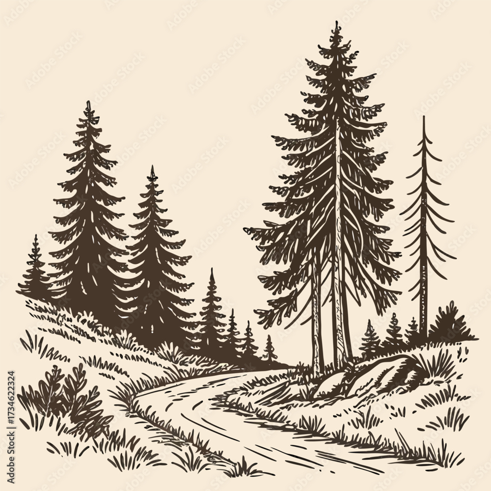Obraz premium hand-drawn, pine, forest, sketch, vector, illustration, doodle, vintage, rustic, camping, nature, ink, drawing, woodland, adventure.