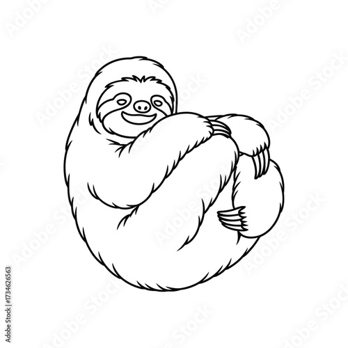 Cute hand drawn sloth curled up in a ball illustration