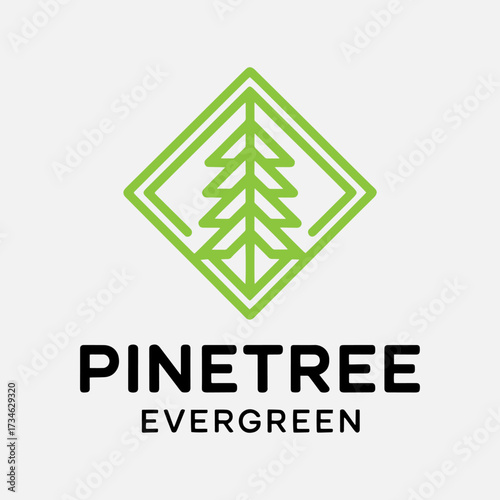 Square green pine tree in line concept