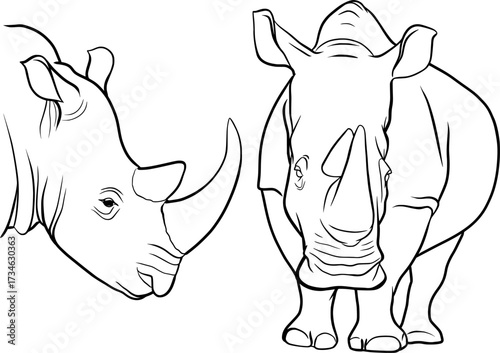 rhinoceros outline vector illustration of rhino head and body