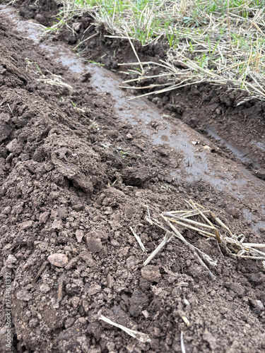 A partly ploughed field in September, North Yorkshire, England, United Kingdom