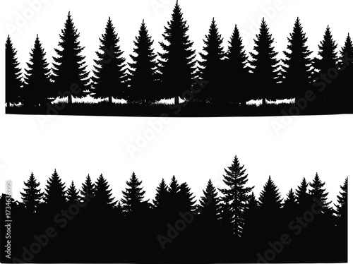 Pine tree forest silhouette landscape, evergreen conifer woods background, black nature illustration, wilderness scenery border, outdoor woodland design element vector art