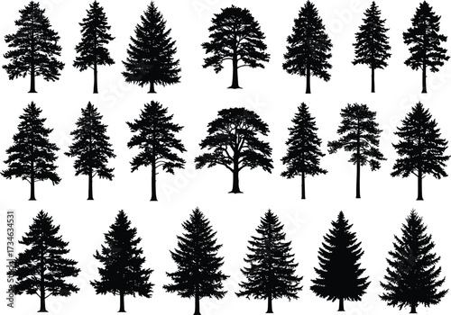 Pine tree silhouette collection vector, black forest tree shapes illustration, evergreen nature elements design, conifer tree set for landscape, decoration