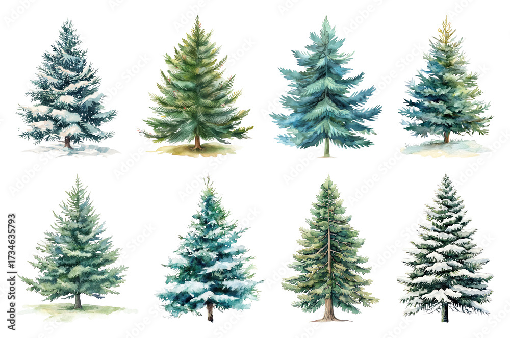 Obraz premium Variety of snow-covered evergreen trees.