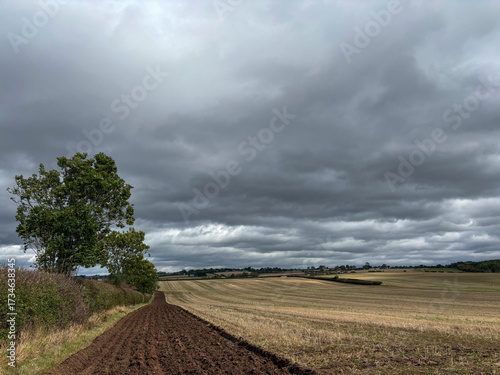 A partly ploughed field in September, North Yorkshire, England, United Kingdom