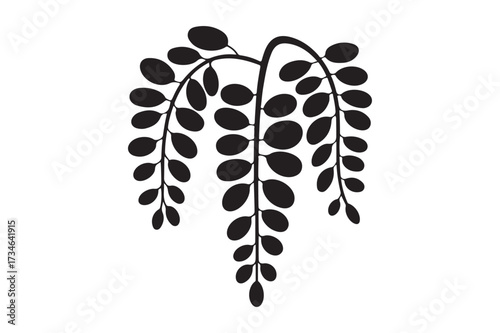 Black silhouette of a weeping willow tree branch with leaves