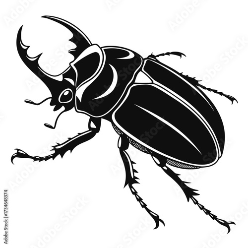 Scarab Beetle Vector Illustration