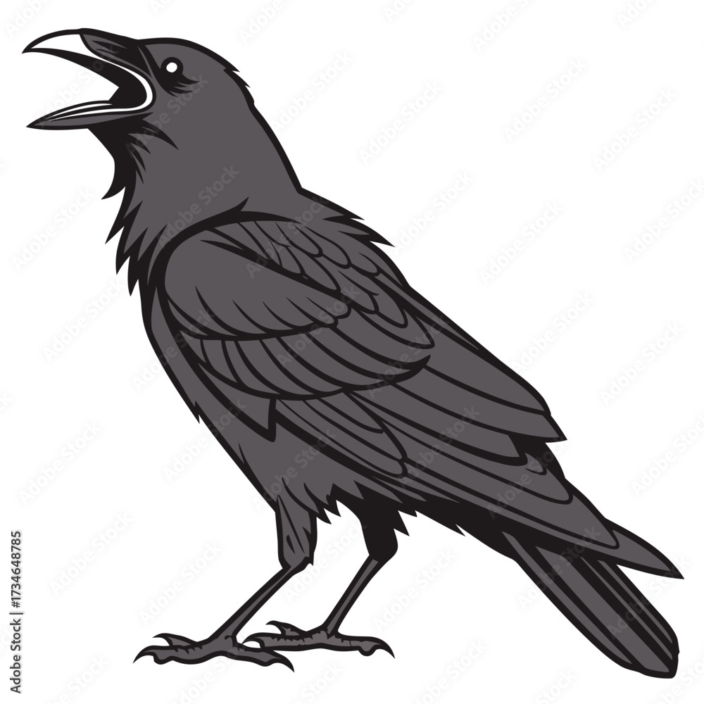 Obraz premium Raven Bird Vector Illustration
