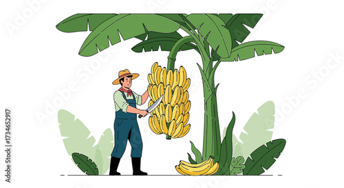 Illustration of a farmer harvesting bananas from a banana tree with tropical leaves and bananas
