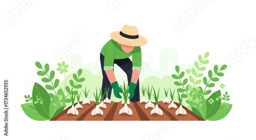 Illustration of a farmer harvesting garlic in a field with lush green plants and leaves