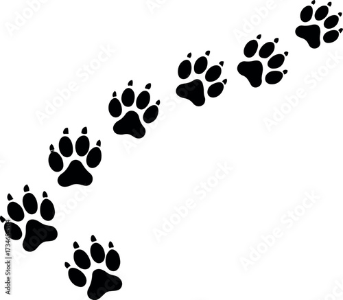 Vector a diagonal arrangement of black paw prints stepping across a transparent background