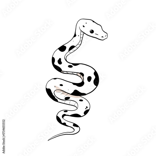 Boa Constrictor. Boa Constrictor simple black and white line art vector logo