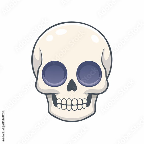 human skull vector illustration