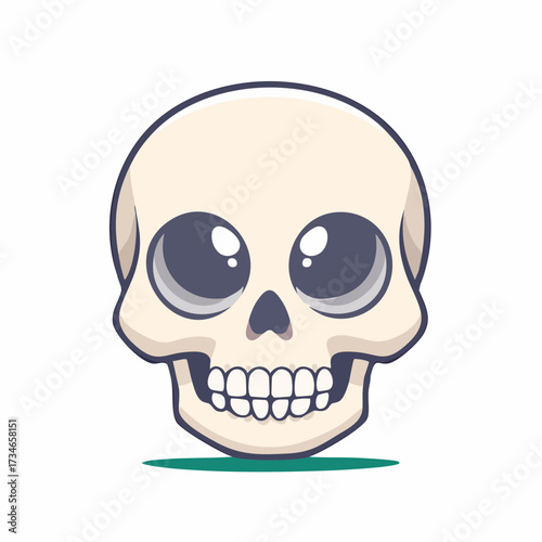 human skull vector illustration