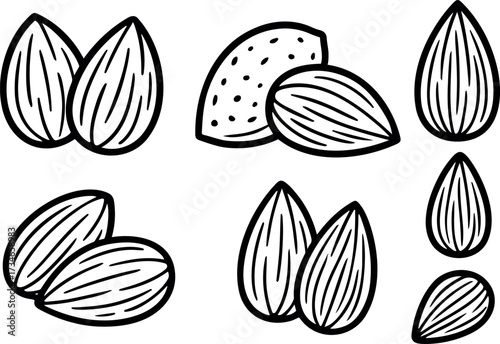 Vector illustration of several almonds in different orientations and groupings on transparent background