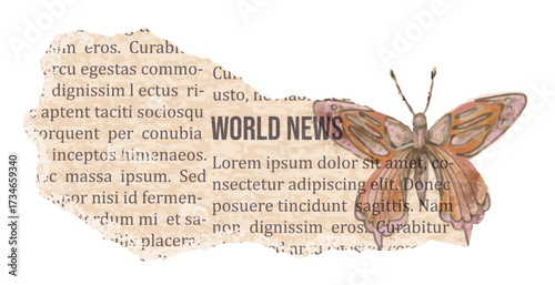 Torn old newspaper with text and watercolor drawn butterfly. Vintage rip paper