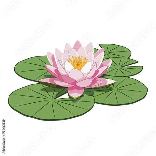 A beautiful pink water lily flower with a yellow center, illustrated on top of several green lily pads against a white background.