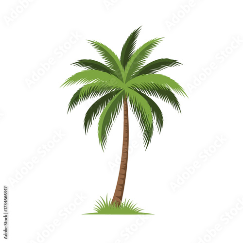 A detailed illustration of a tall, green palm tree with a brown trunk, set against a white background.