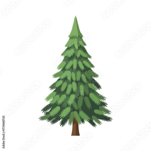 Illustration of a tall, green evergreen tree with a brown trunk, isolated on white.