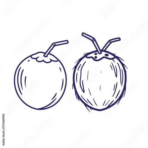 Hand drawn illustration of two coconut drinks with straws ready to be enjoyed