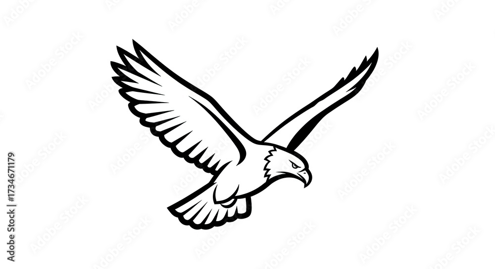 Obraz premium Soaring eagle illustration vector graphic