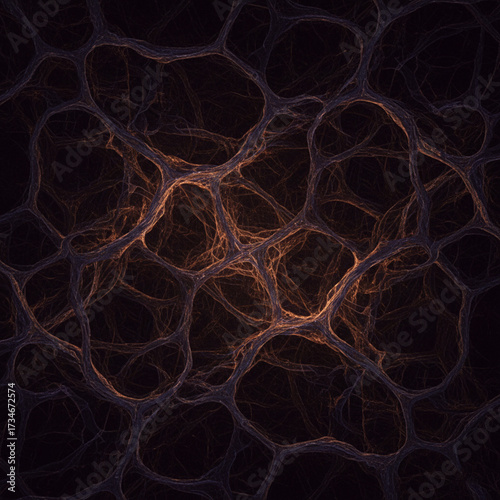 different vector designs 