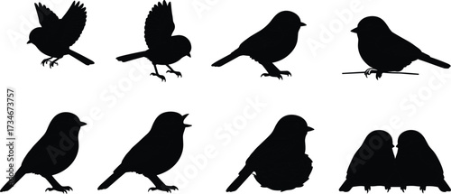 Bird silhouettes, flying posture, perched stance, nesting behavior, singing call, paired birds, wildlife motion, nature species illustration set
