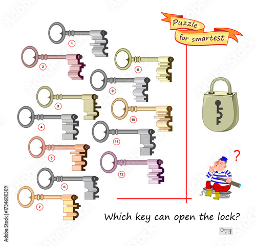 Which key can open the lock? Search and find game. Logic puzzle for children and adults. Develop spatial thinking. Printable page for brain teaser book. Flat vector illustration.