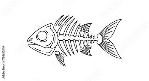 An artistic representation of a fish skeleton showing its internal structure and skeletal framework.
