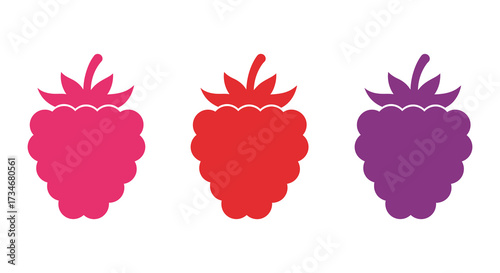 Illustrative depiction of three vibrant raspberries in shades of pink red and purple