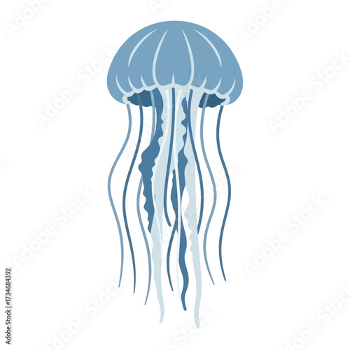 Illustration of a blue jellyfish with long tentacles on a white background.
