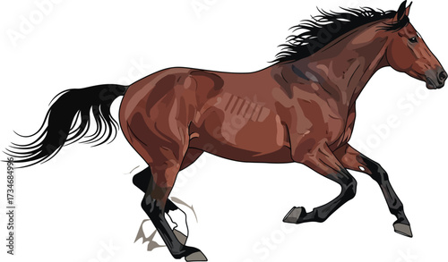 Nimated brown horse, equine animal running, powerful mammal