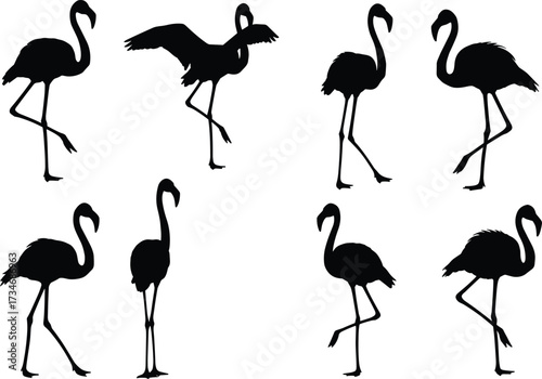 Flamingo silhouettes, standing bird, wading posture, one leg pose, tropical wildlife, exotic animal, nature illustration set