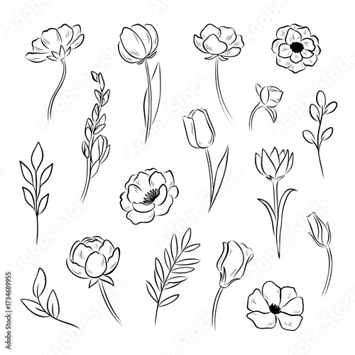 Collection of line drawing of different flowers and leaves. Floral silhouette, botanical sketch set. Elegant vector illustration elemets for print, packaging design, or wrapping paper.