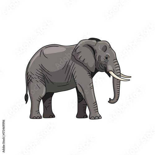 Cartoon illustration of a grey elephant with tusks and a trunk standing on a white background.