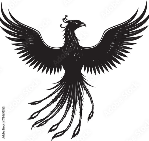 black vector of  phoenix rising  in silhouette