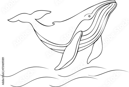 Continous line drawing Line Art a Humpback Whale Leaping ocean water