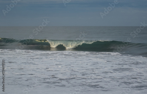 surfing the waves