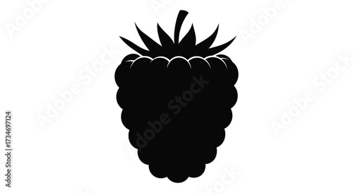 A simple black silhouette of a ripe blackberry on a white background