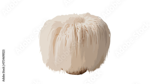white lions mane mushroom isolated on transparent background