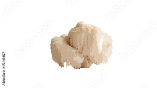 white lions mane mushroom isolated on transparent background