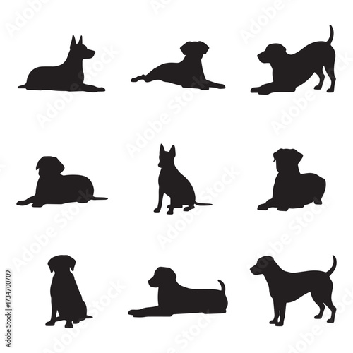 ICON SET 16