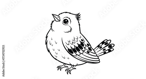 A cute little bird chirping a sweet song to the sky above.