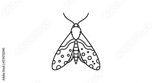 A line art illustration of a moth with spotted wings.