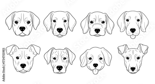 A collection of eight detailed line art illustrations showcasing various dog face portraits.
