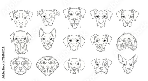 A collection of fifteen different dog breed head illustrations, presented as line art on a white background.