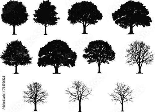 Tree silhouette collection, leafless winter trees, full foliage forest shapes, isolated woodland elements, black nature vector, eco landscape design, park garden illustration